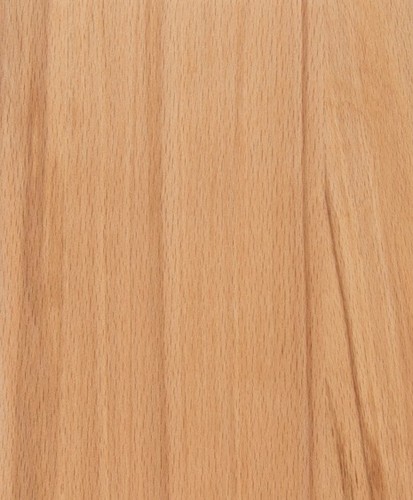 Full stave rustic beech - rustic,